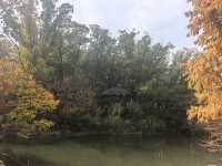 上海植物園隨拍