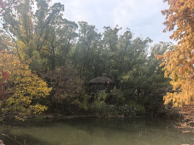 上海植物園隨拍