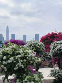 深圳必打卡|蓮花山公園保姆級攻略仰望偉人俯瞰城!