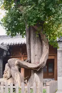 這裡是少林寺，金庸筆下的江湖起點