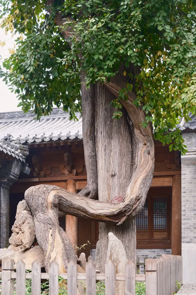 這裡是少林寺，金庸筆下的江湖起點