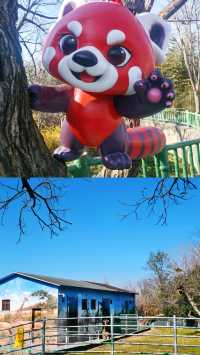 秦嶺山下的動物王國!人均150元玩轉自然野趣