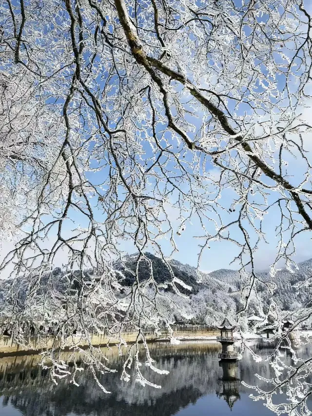 江西廬山要下雪了鎖定12月16-17號