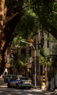 廈門拍照|在陽光鋪滿的信義路看發光的秋天