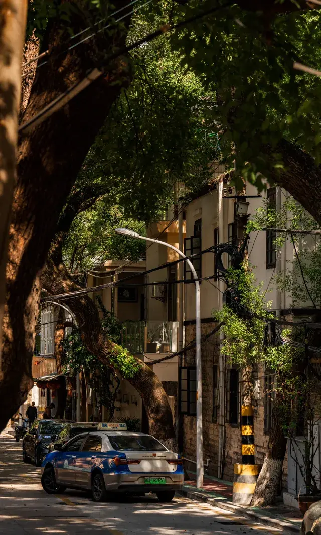 廈門拍照|在陽光鋪滿的信義路看發光的秋天