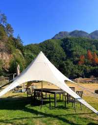 安吉這家神仙民宿太絕了！推窗就是整片竹海