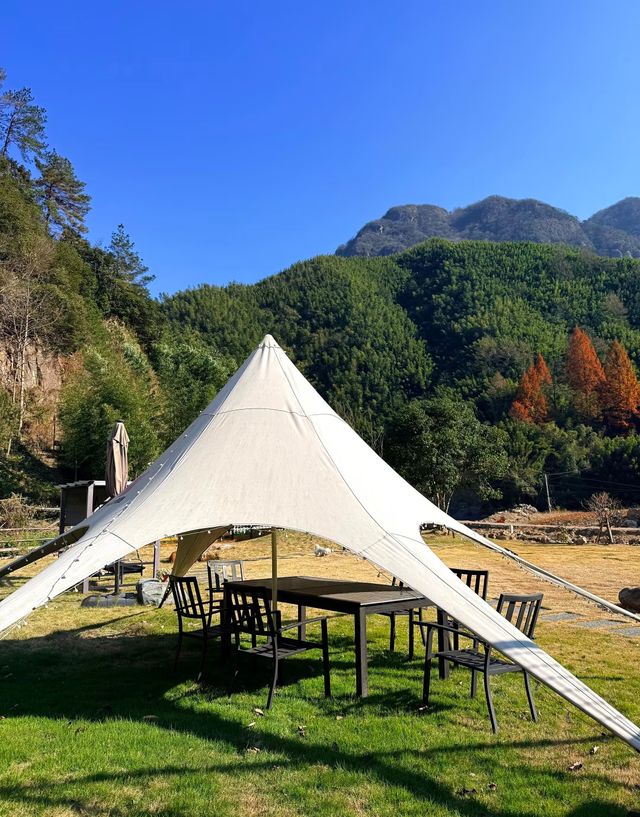 安吉這家神仙民宿太絕了！推窗就是整片竹海