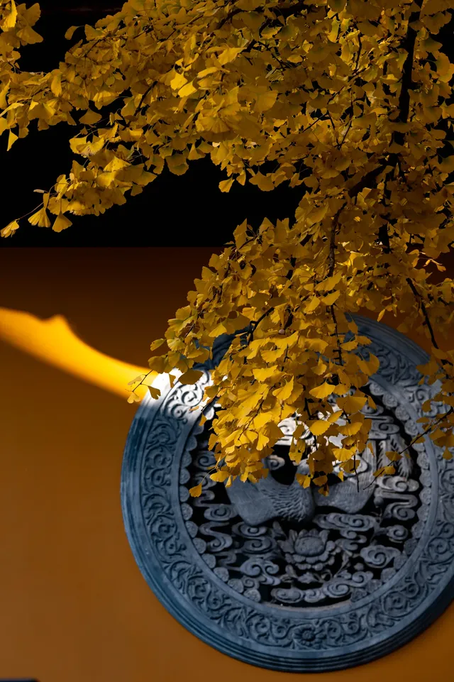 深秋的龍華寺美到無法用言語描述