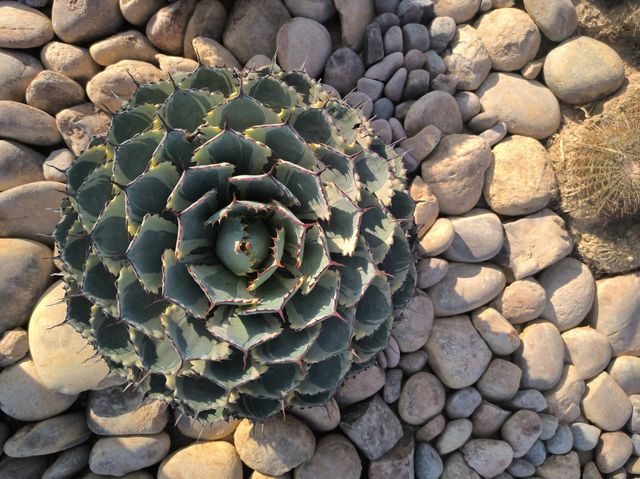 建水五龍湖四重奏 建水五龍湖四重奏