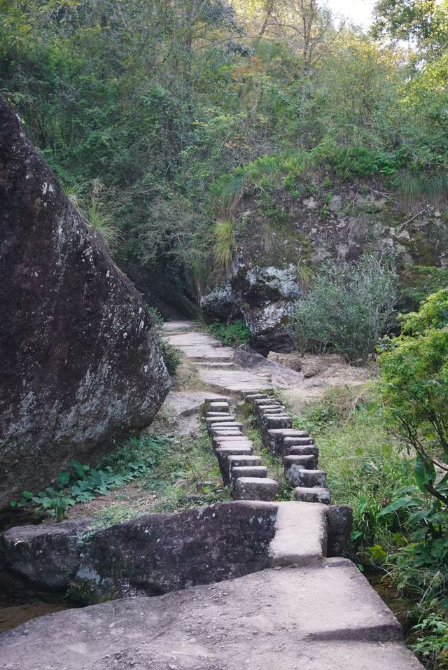 武夷山巖骨花香漫遊道:冬日裡的寧靜之旅 武夷山巖骨花香漫遊道:冬日裡的寧靜之旅