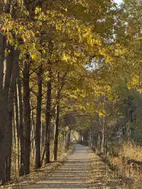 兩次瀘沽湖|寫給想慢下來的人。