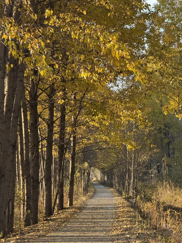 兩次瀘沽湖|寫給想慢下來的人。 兩次瀘沽湖|寫給想慢下來的人。