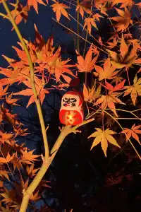 大阪勝尾寺夜間點燈絕美!跟白天完全不同