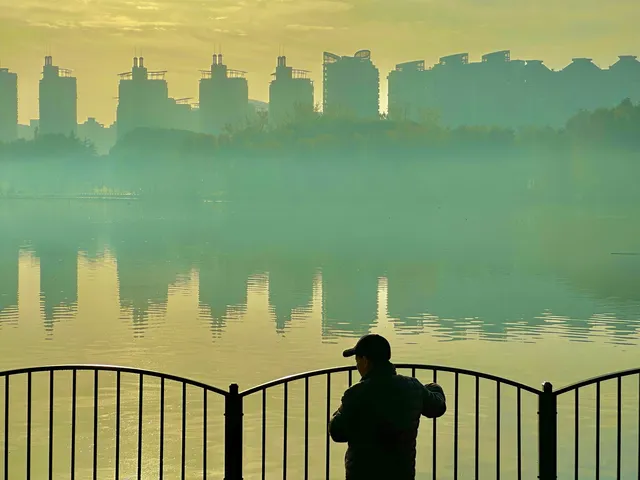 11.30號實拍 | 世紀公園梧桐大道拍照攻略