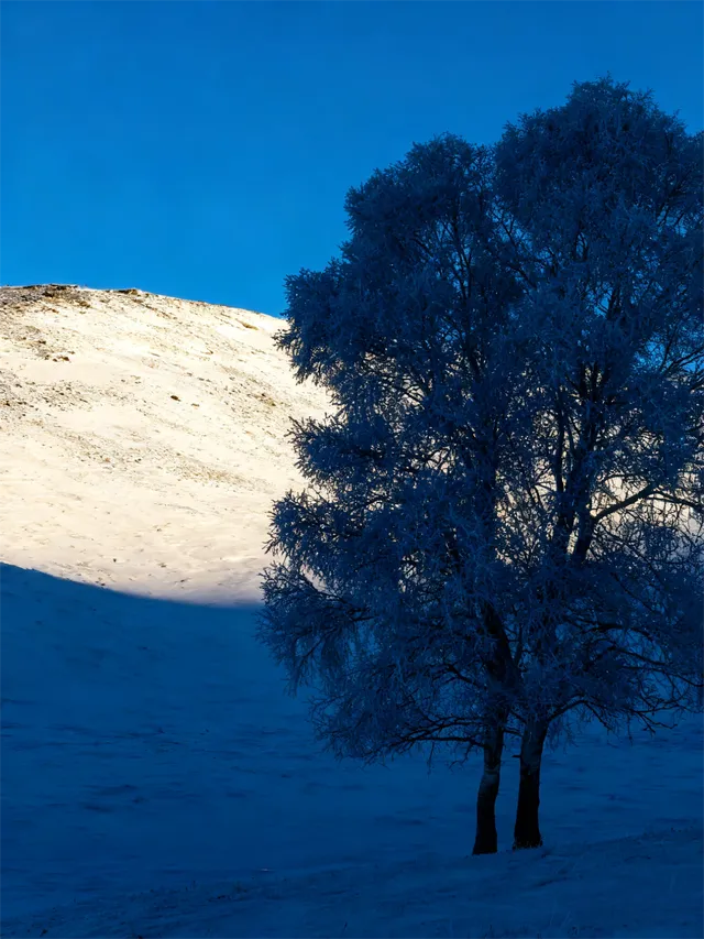 為什麼我才知道,冬季的烏蘭布統這麼美啊! 為什麼我才知道,冬季的烏蘭布統這麼美啊!