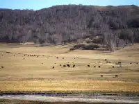 景點小評測——烏蘭布統