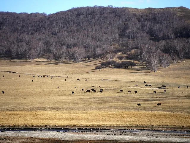景點小評測——烏蘭布統 景點小評測——烏蘭布統