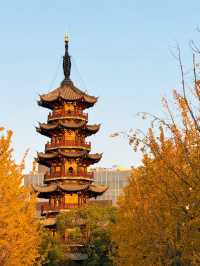 魔都秋日限定龍華寺美成古畫了!!!