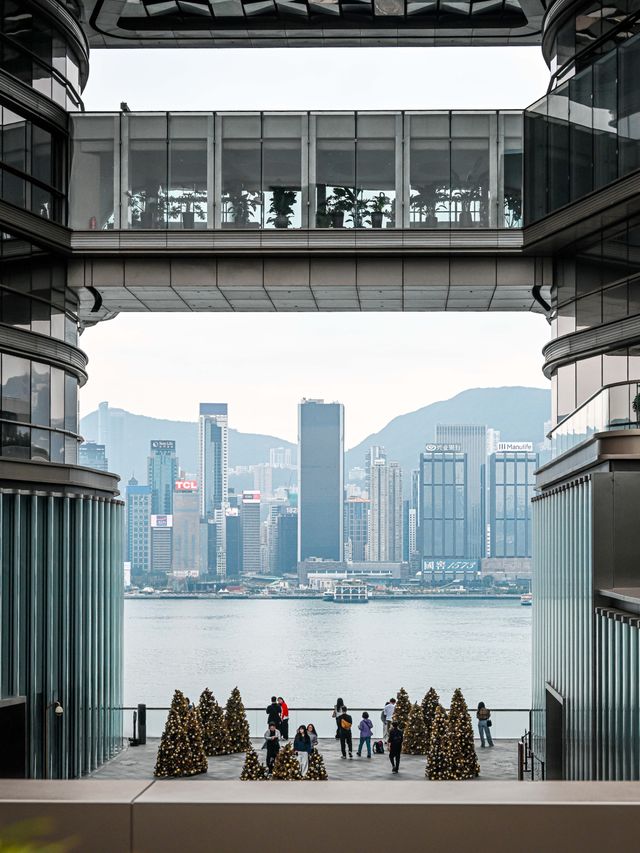 K11免費觀景台攻略｜解鎖維港黃金機位的秘密基地