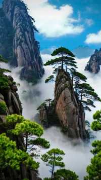 黃山避峰出行必看攻略