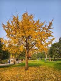 帶爸媽玩轉陽朔|解鎖天空之鏡的仙氣玩法