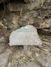 張家界 / 乾坤柱