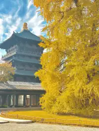 濮院賞秋地圖|拍出明星同款大片!