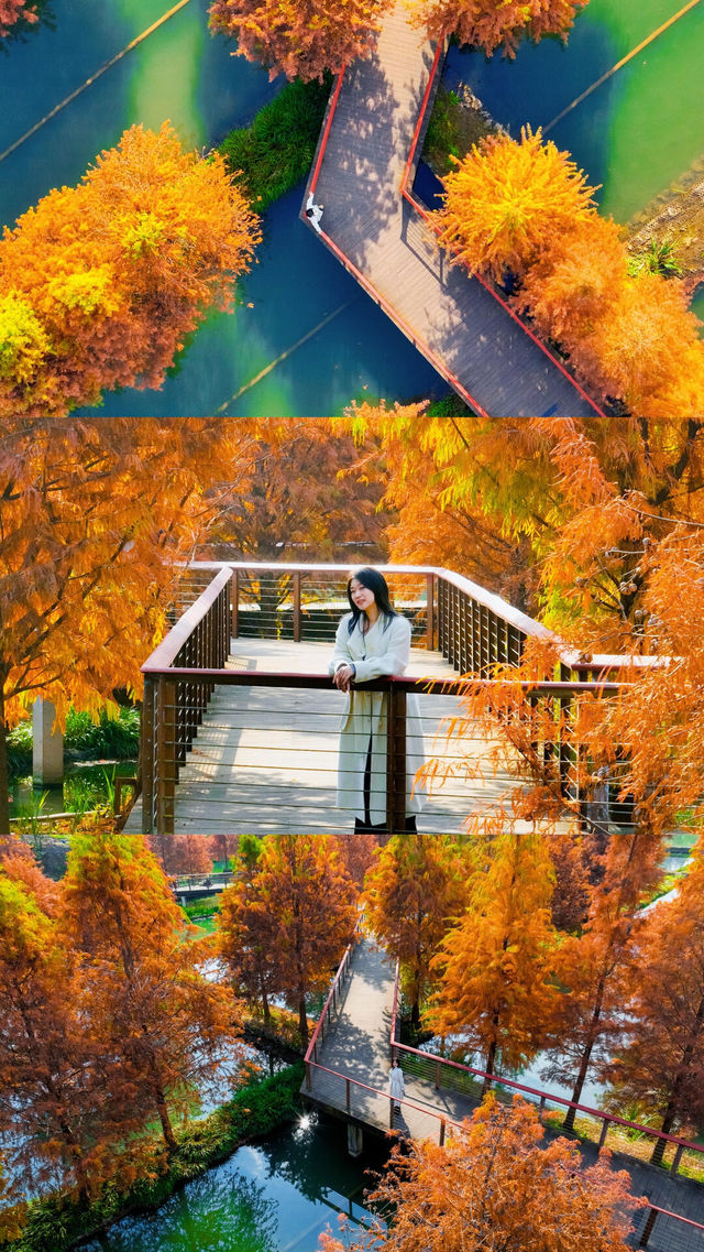 住對酒店,連散步都藏著極致浪漫 住對酒店,連散步都藏著極致浪漫