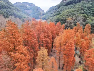 มอนต์เบลล์ได้จัดกิจกรรมเดินป่าระยะทาง 10 กิโลเมตรในเขต "สวิตเซอร์แลนด์น้อย" ของเมืองหนิงโปในช่วงต้นฤดูหนาว