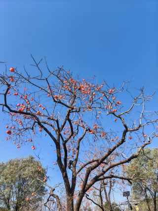 수천 번 사랑에 빠진 부평! 이 작은 도시는 관중 혁명 기억을 숨기고 있다