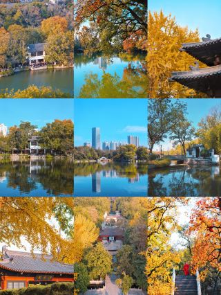 합비 포공원 가을겨울 색｜천년을 넘는 시의 화폭