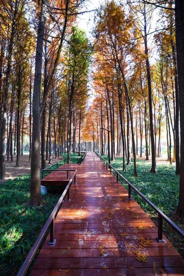 上海新的橫沔公園,開園3天遊客量破萬 上海新的橫沔公園,開園3天遊客量破萬