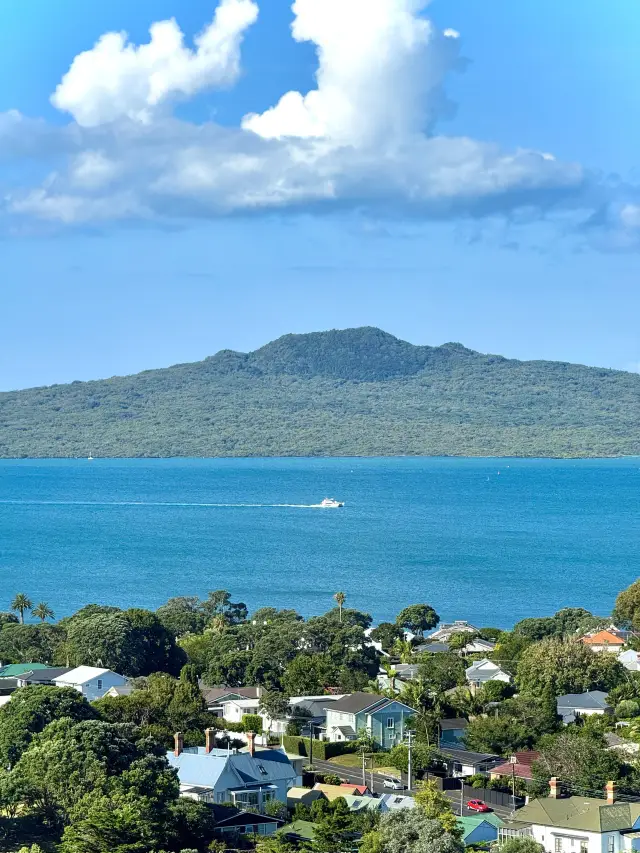 In Auckland, take in both the sea and the city in one view
