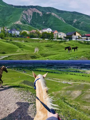 キルギスタンでの乗馬体験｜天山山脈の草原で一日遊牧民気分を味わおう