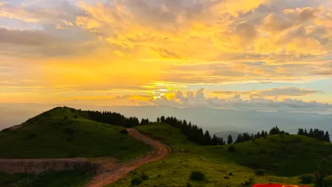 รีวิวเดินป่าเส้นทางลับๆ สไตล์คนโลคอลที่เฟิงไค — traveler post in เฟิงไค