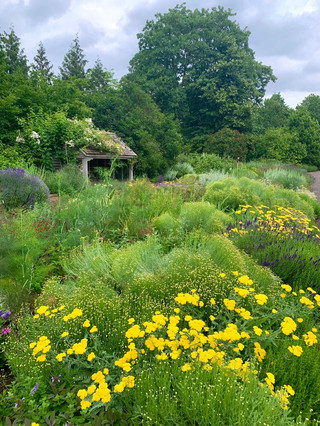 Expansive Botanical Wonderland