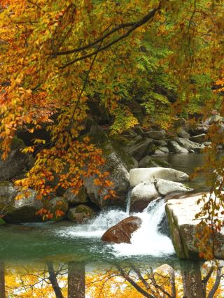 四川で最も美しい秋の色攻略 米倉山紅葉シーズン