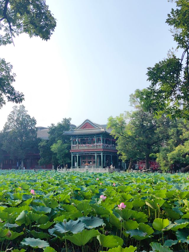 保定古建風韻遊