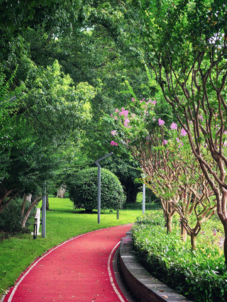 Qingpu Xiayang Lake walking trail | a red lakeside poem