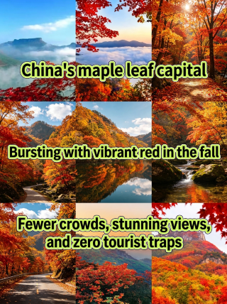 Not going abroad? Head to Benxi for a short autumn getaway and step into a fairytale world of red leaves in Northeast China