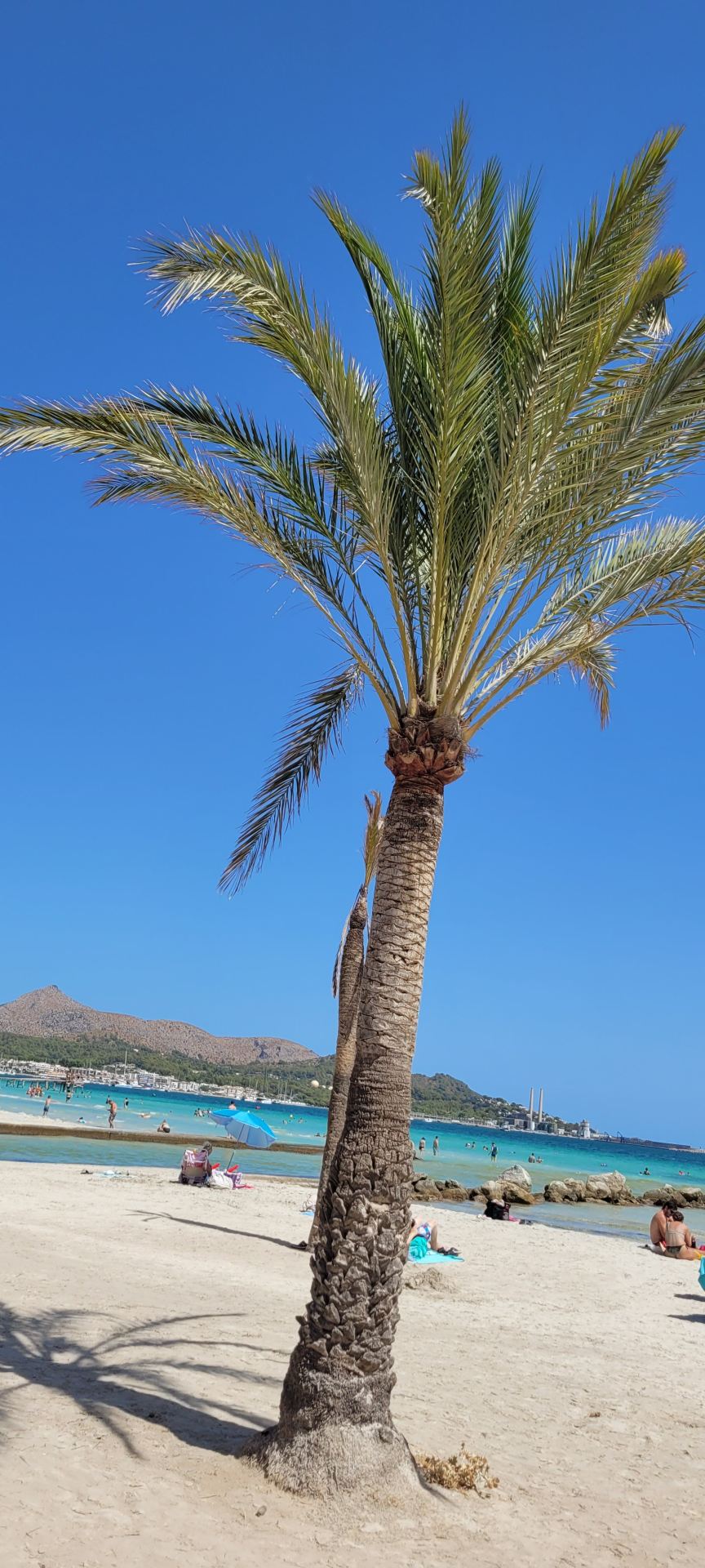 Beautiful and Peaceful Beach Spot