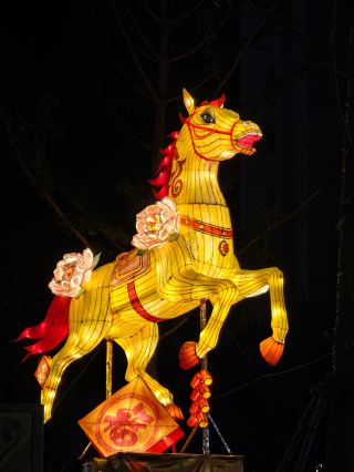 A Mid-Autumn Night Stroll at Shanghe Yinxiang