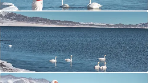 Sayram Lake in Winter | Blue Ice Wonderland, worth the shivering cold — traveler post in Bortala