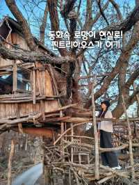 지브리 감성 한가득, 동화속 오두막집이 있는곳🏡