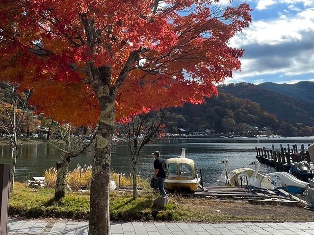 紅葉の時期の日光