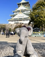 Miss Elly adventure to Osaka Castle.