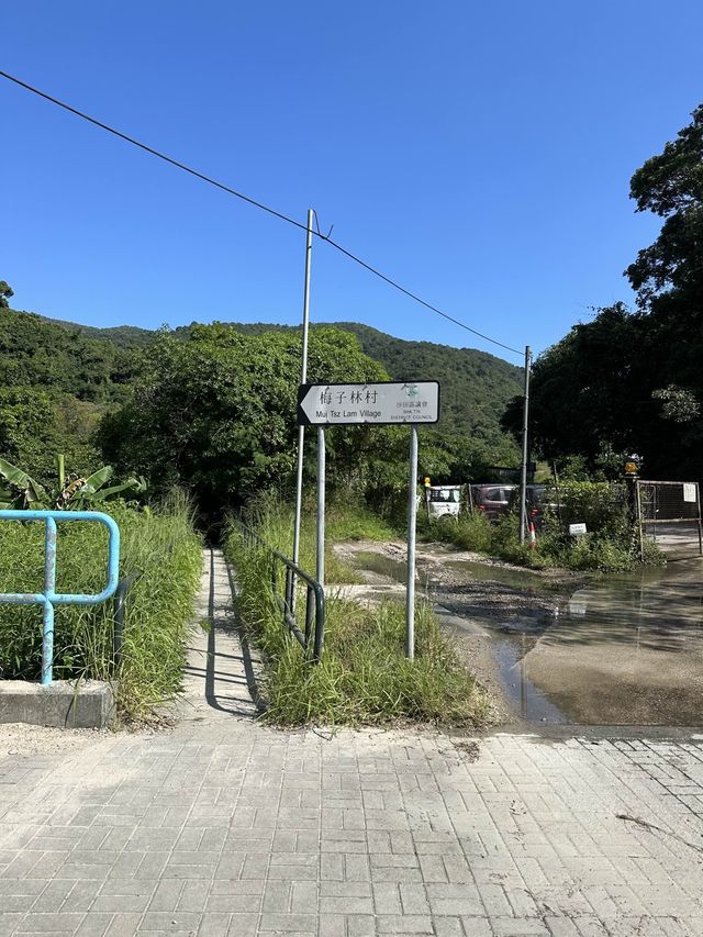 馬鞍山茅坪北港古道 - 港版嵐山