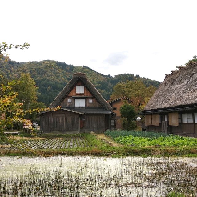 日本中部白川鄉