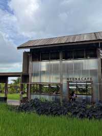 泰國曼谷近郊打卡 | meena cafe 🌾  稻田咖啡廳