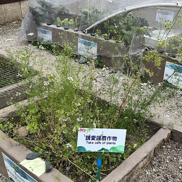 旺角MOKO新世紀廣場休憩清新小綠洲